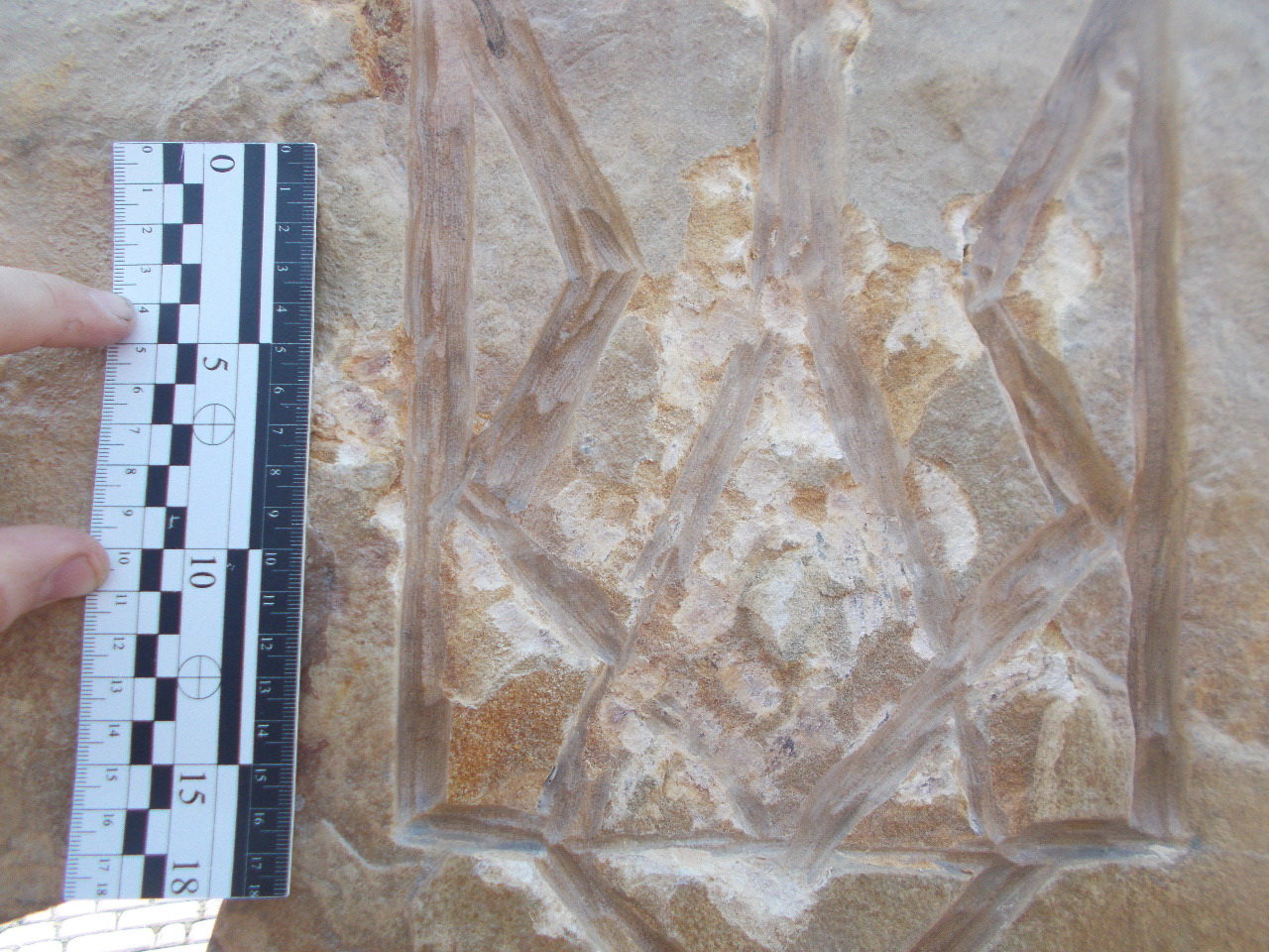 ����: 0542.ua