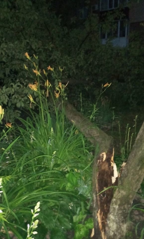 ����: 0542.ua