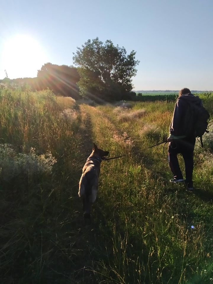  ������ ������������ ������� ������ ��� ���� ����� 