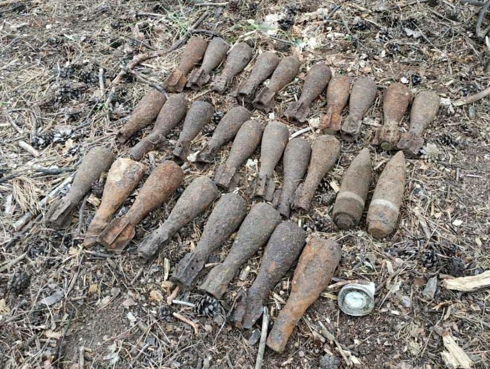  ������ ���� ������� ������ 