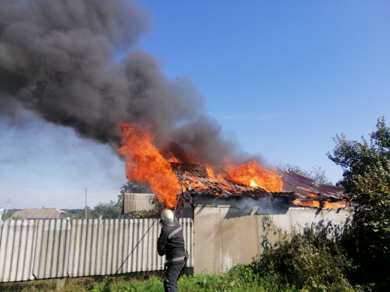  ������ ������ ������ 