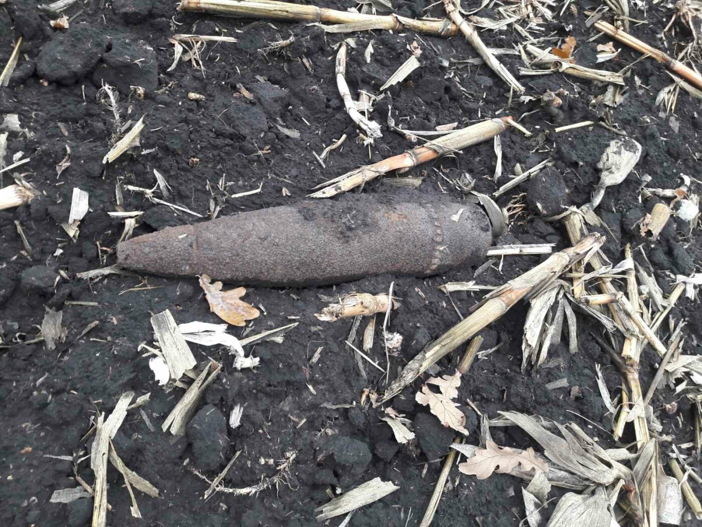  ������ ������ ���� ������ ����������� �������� 