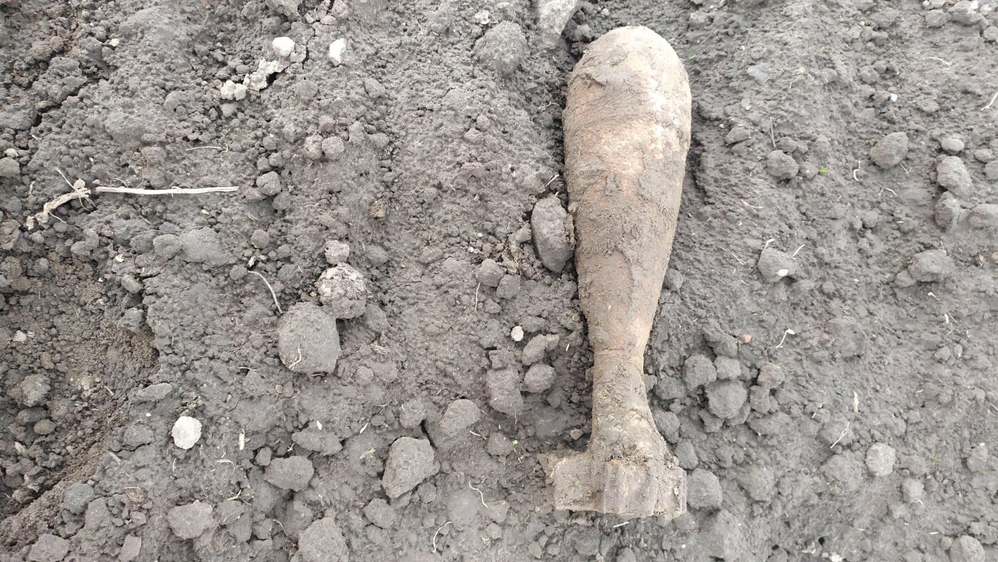  ������� ������� ������ ���� ������� ����������� �������� 