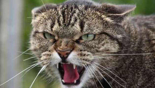  ��������� ����� �������� ���� ���� 