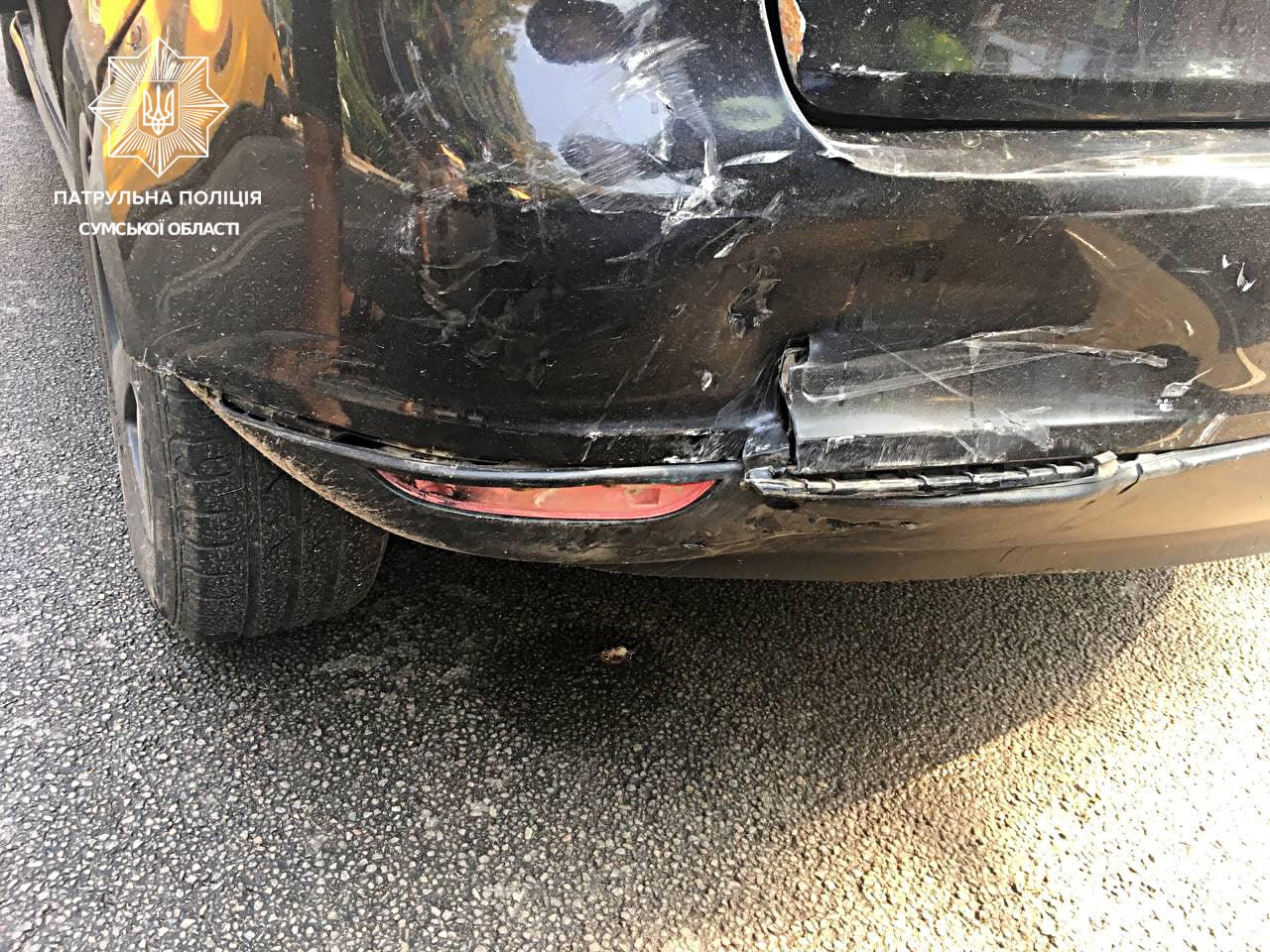  ����� ���� ��� ��������� ������� 