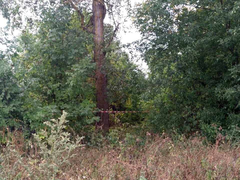 ����: 0542.ua