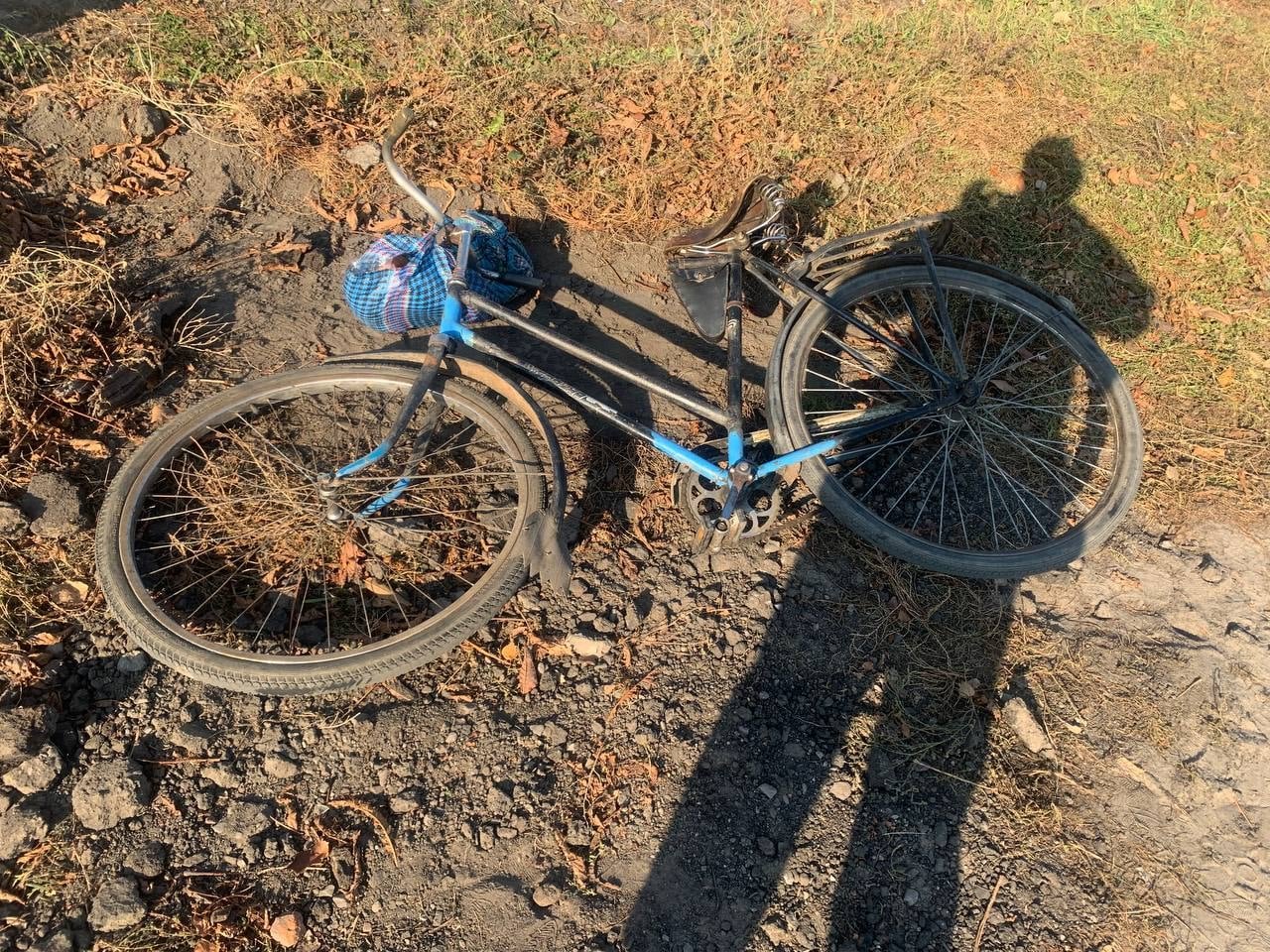  ������ ������ ���� �������� 83-� ���� ������������ 