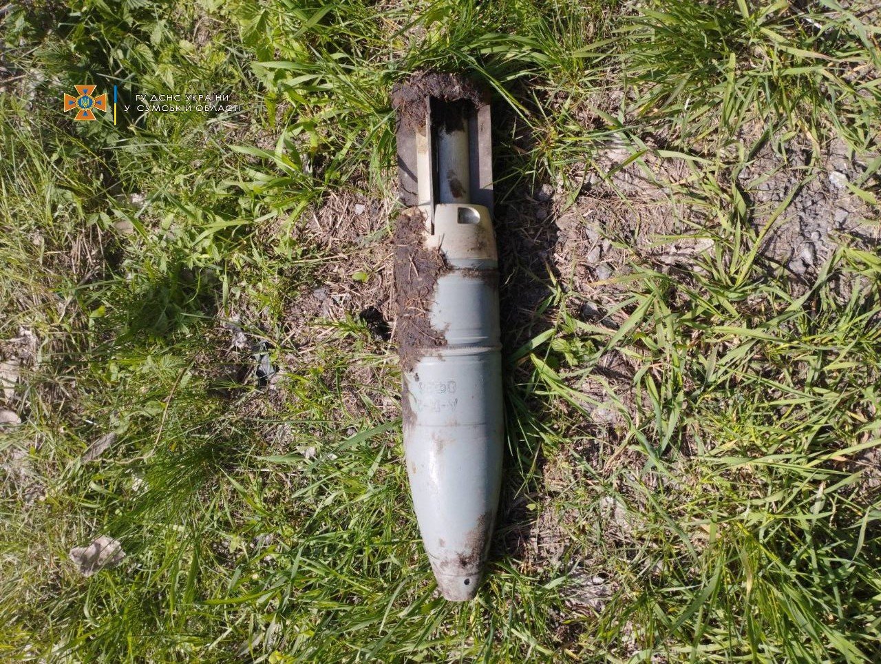  ������ ���� ������������ ������� ���������� ����������������� �������� 