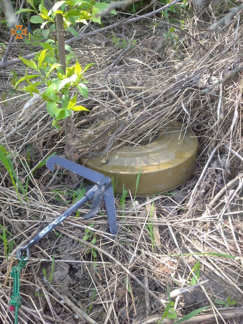  ������ ���� ���������� ������� ������� ����������������� �������� ���� 