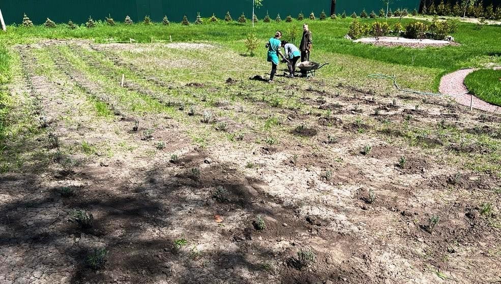  ������ ������� �������� ����� �������� ����� �������� �������� 