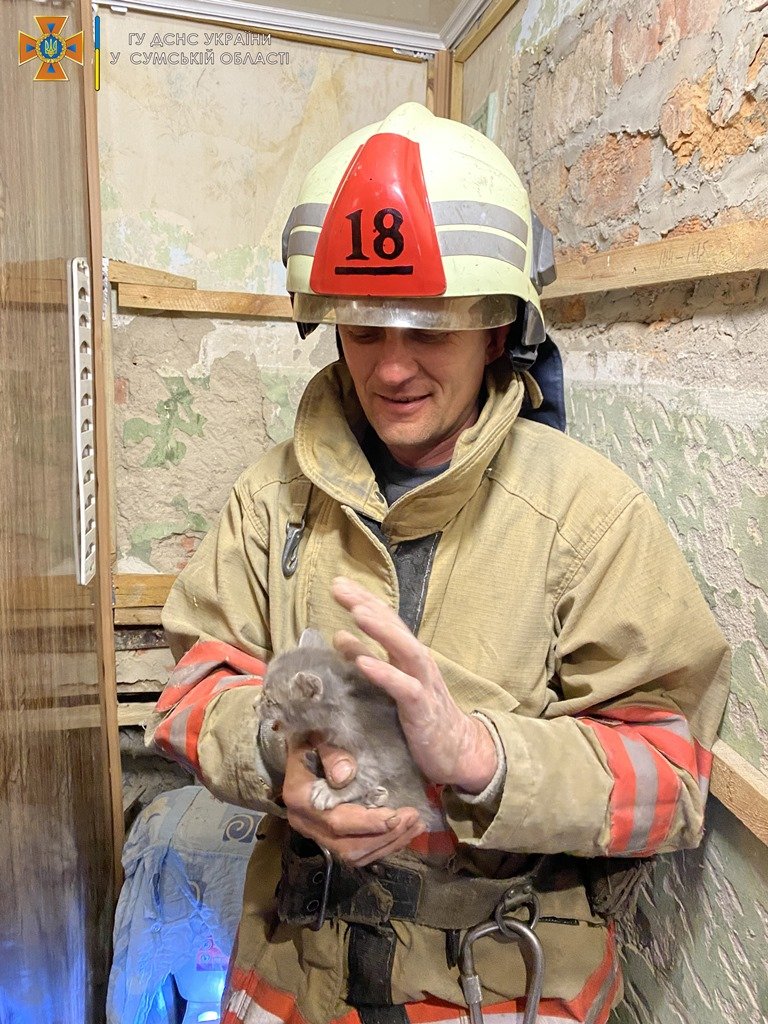  ������� ������������ ��������� �������� ��� ��� ������ ������ 