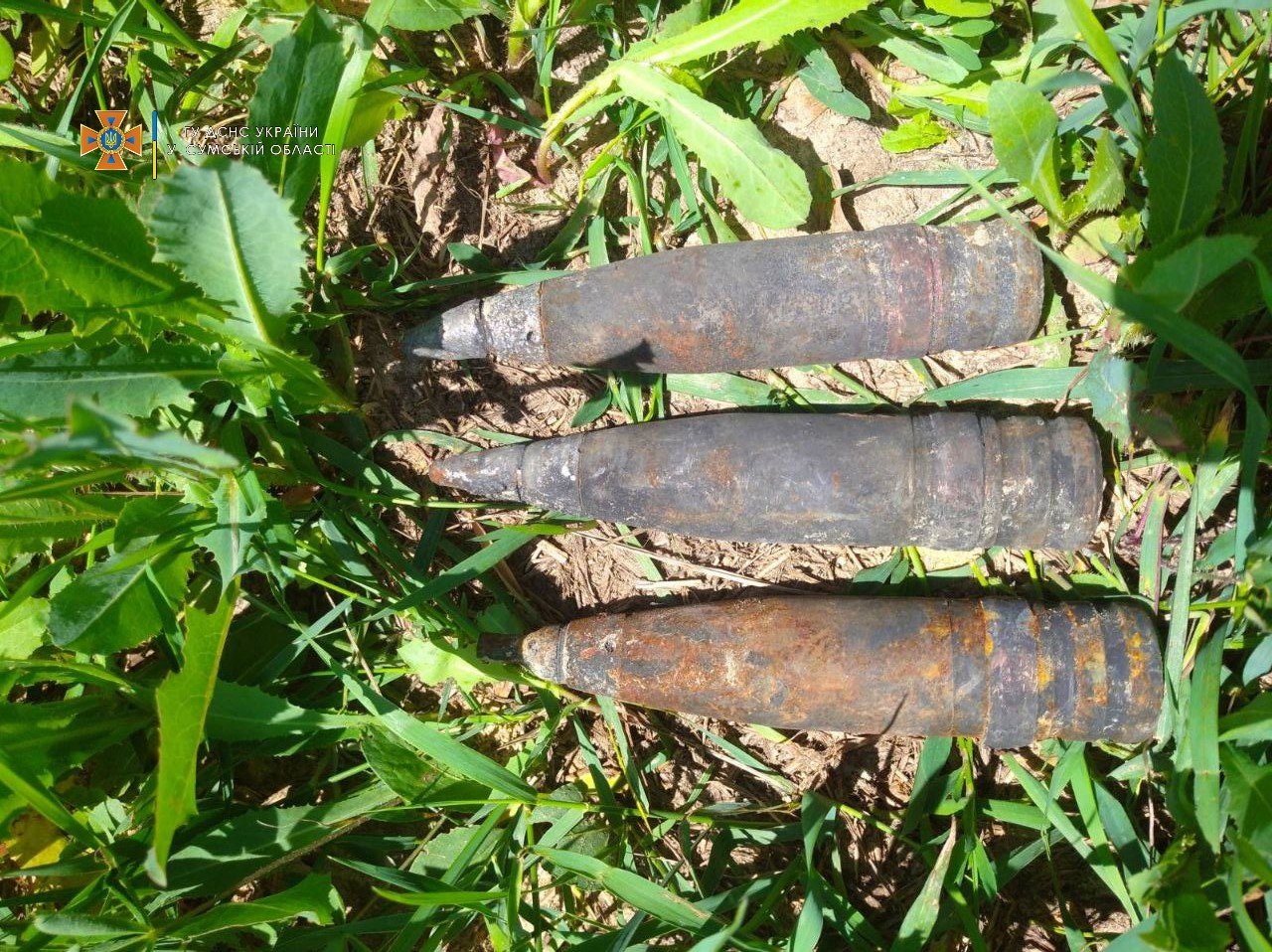  ������ ���� ������� ������� ���������� ������� ����������������� �������� 