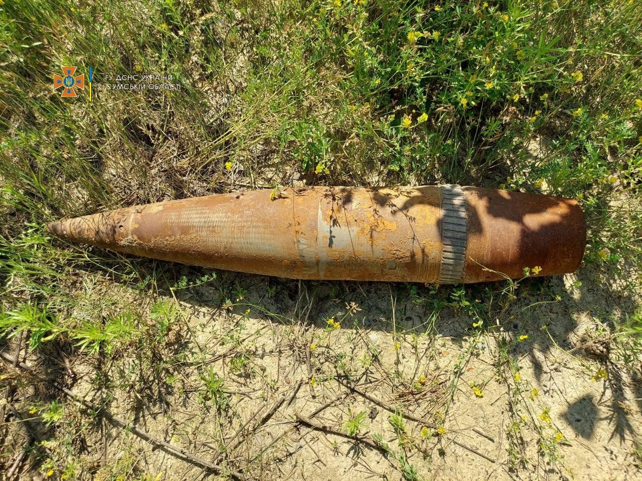  ������ ���� ������� ���������� ������� ����������������� �������� 