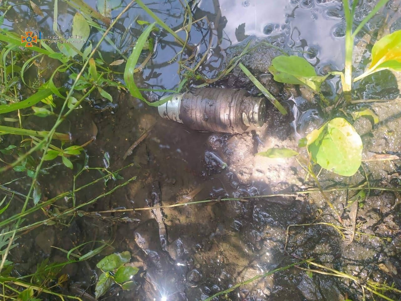  ������ ���� ���������� ������� ������� ����������������� �������� 