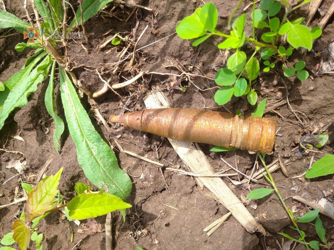  ������ ���� ���������� ������� ������� ������ ������� �� 