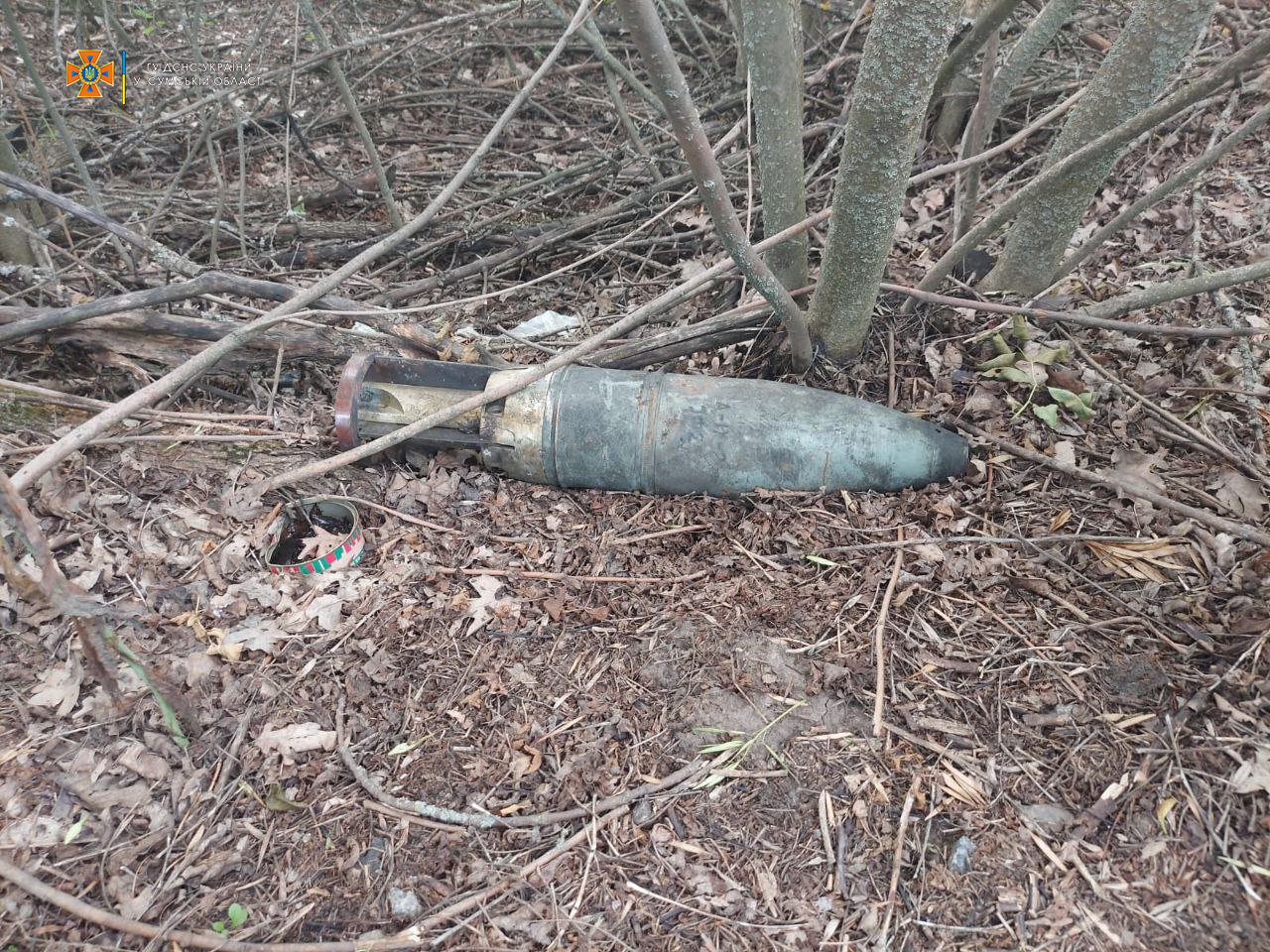  ������ ���� ���������� ������� ������� ������ ������� ����������������� 