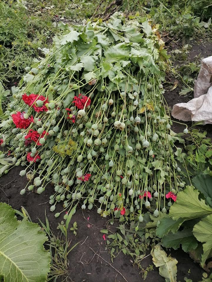  ������ ��������� ����������� �������� ����� ����������� ����� ����������� 