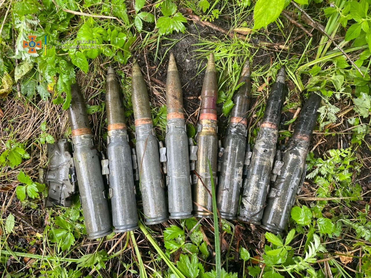  ������ ���� ���������� ������� ������� ����������������� �������� 