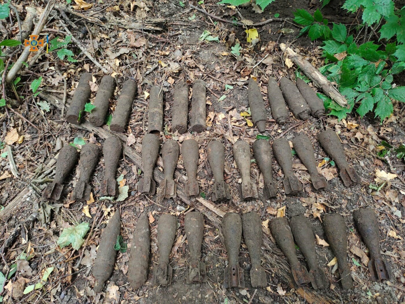  ������ ���� ���������� ������� ������� ����������������� �������� 