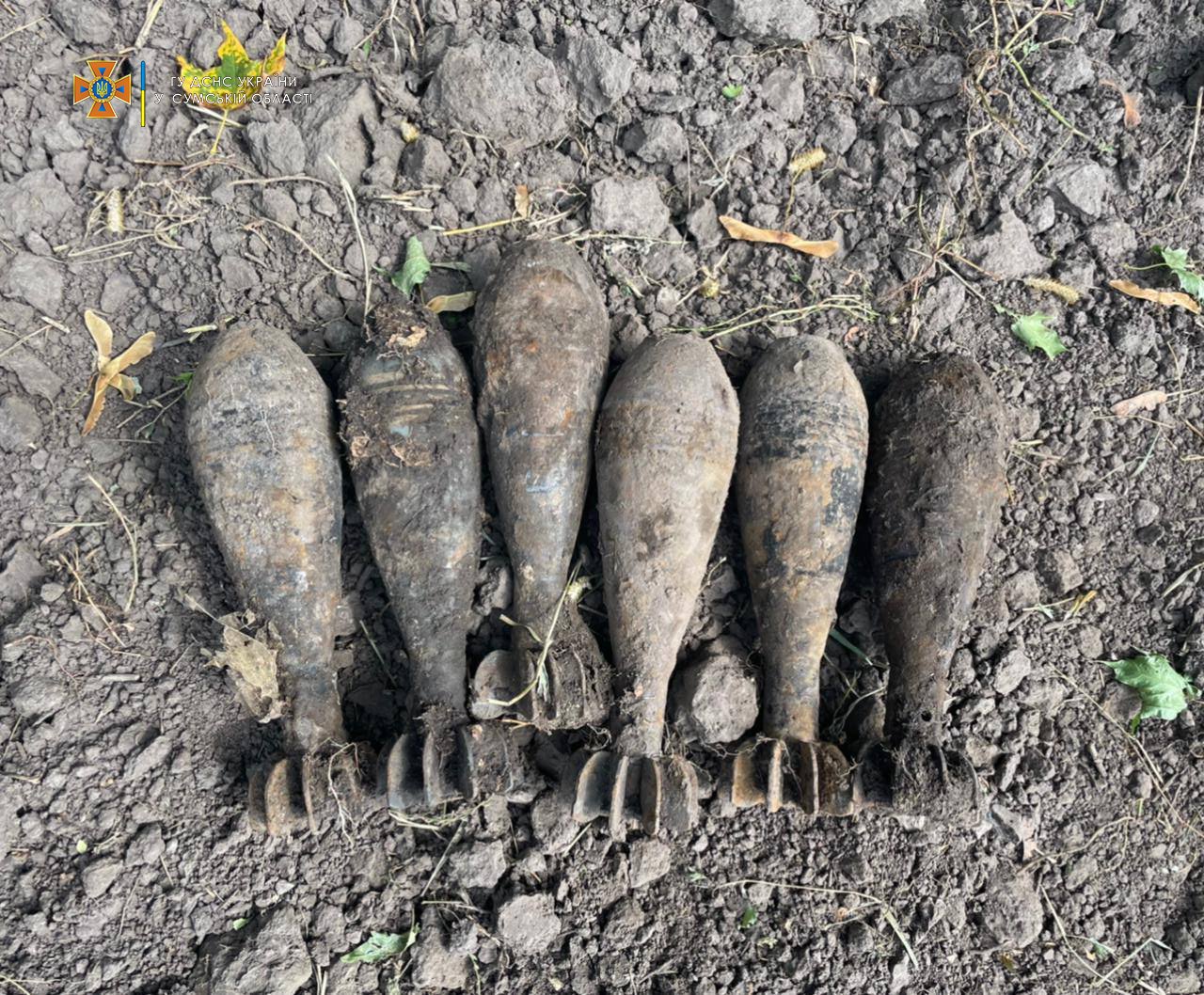  ������ ���� ���������� ������� ������� ����������������� �������� ������� 