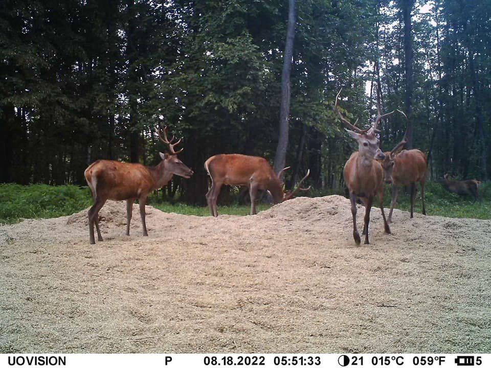  ���������� ������������ ���� ����� ��������� ������ ������� 