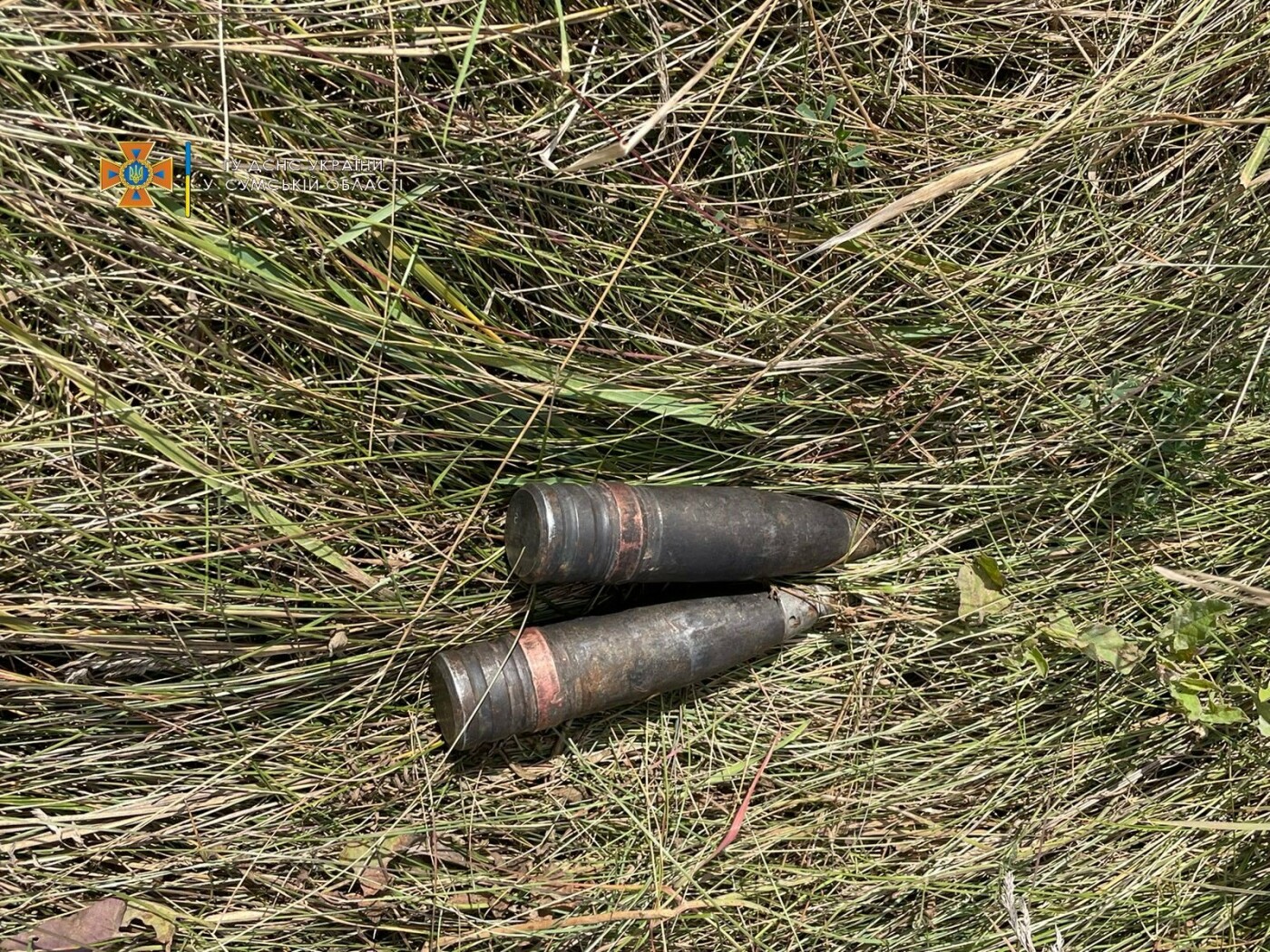  ������ ���� ������� ������� ���������� ������� 3105 ������� 