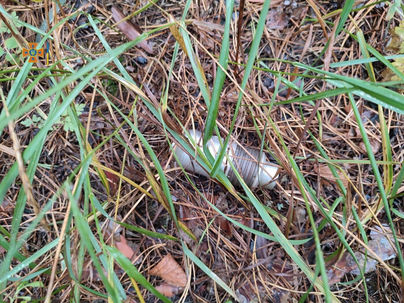  ������ ���� ���������� ������� ������� ����������������� �������� 