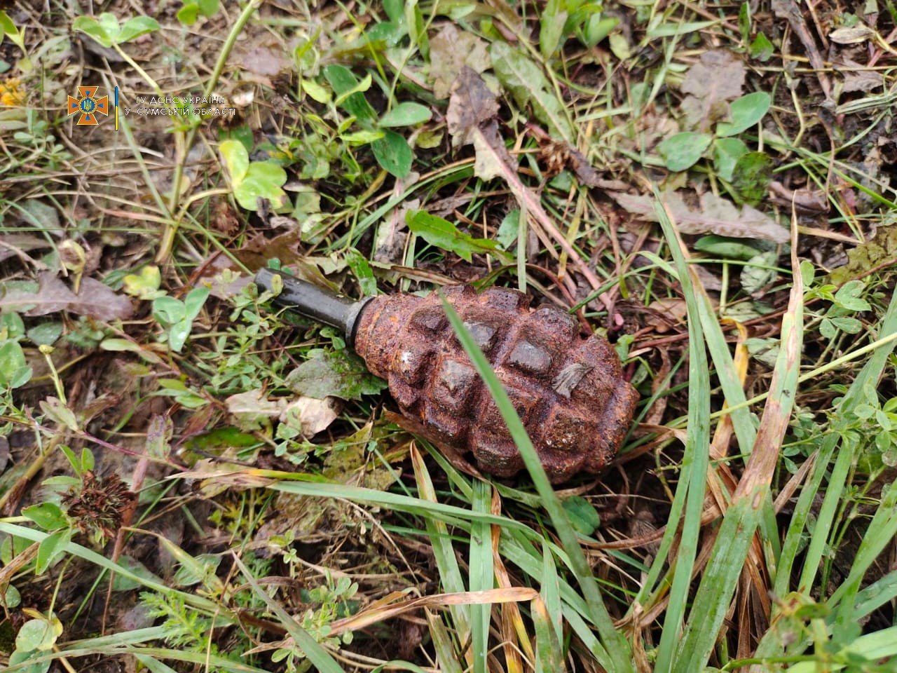  ������ ���� ������� ������� ���������� ������� ����������������� �������� 