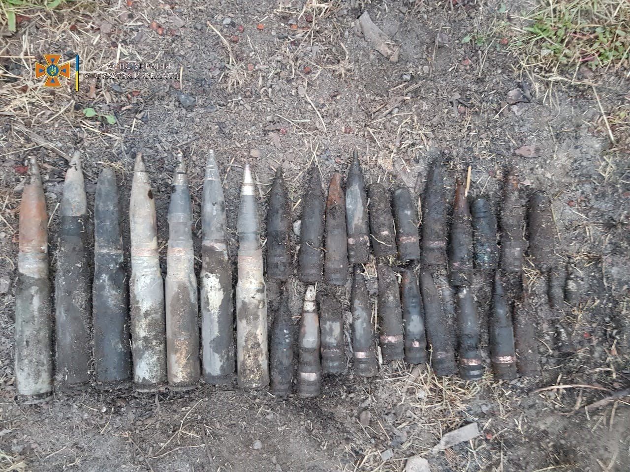  ������� ������� ���������� ������� ������� ����������������� �������� ���� 