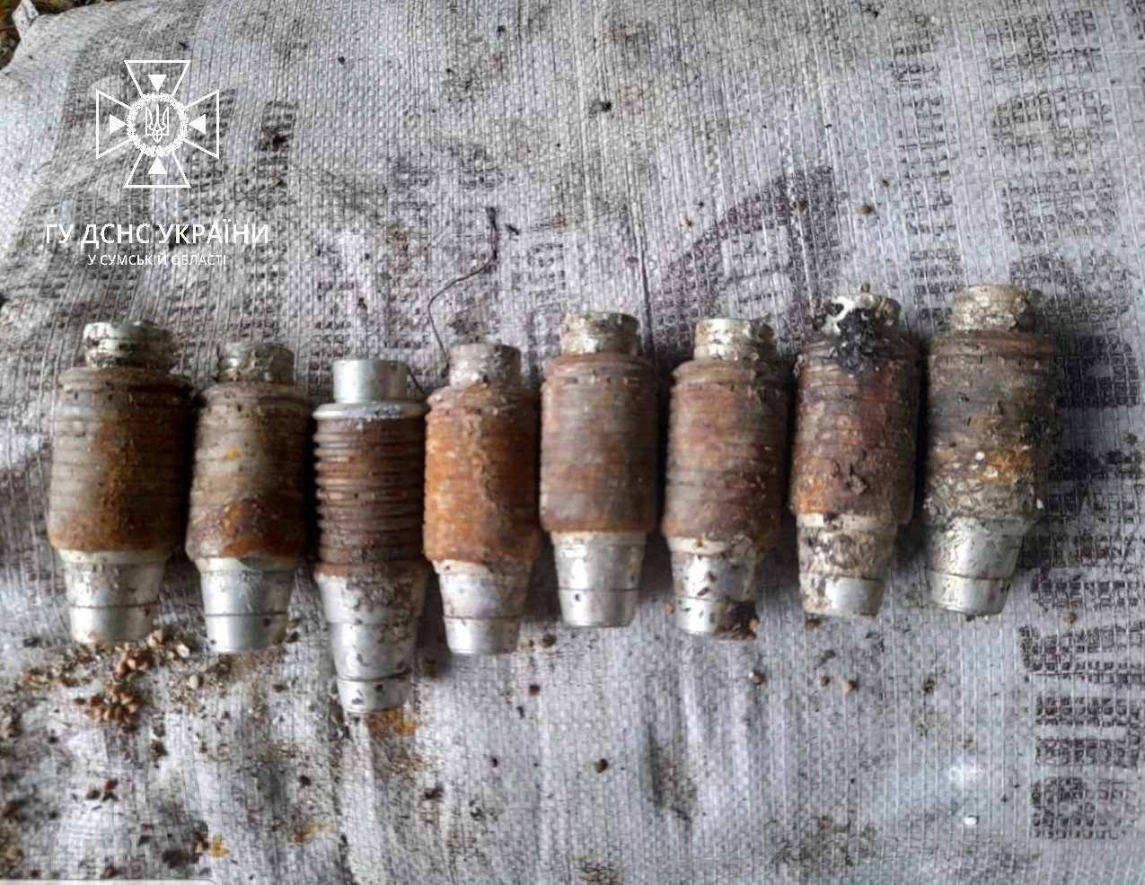  ������ ���� ���������� ������� ������� ����������������� �������� 