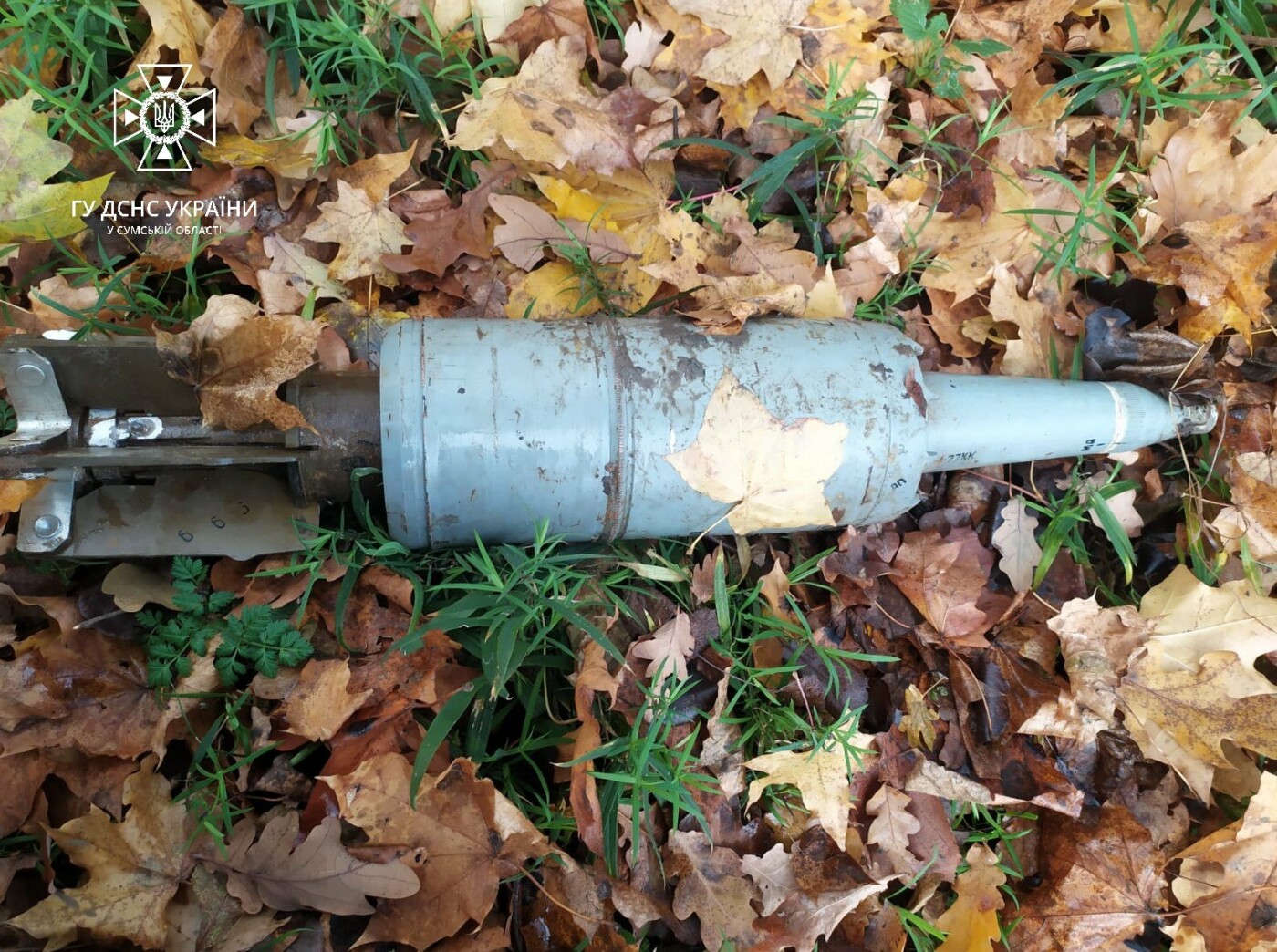  ������ ���� ���������� ������� ������� ����������������� �������� ���� 