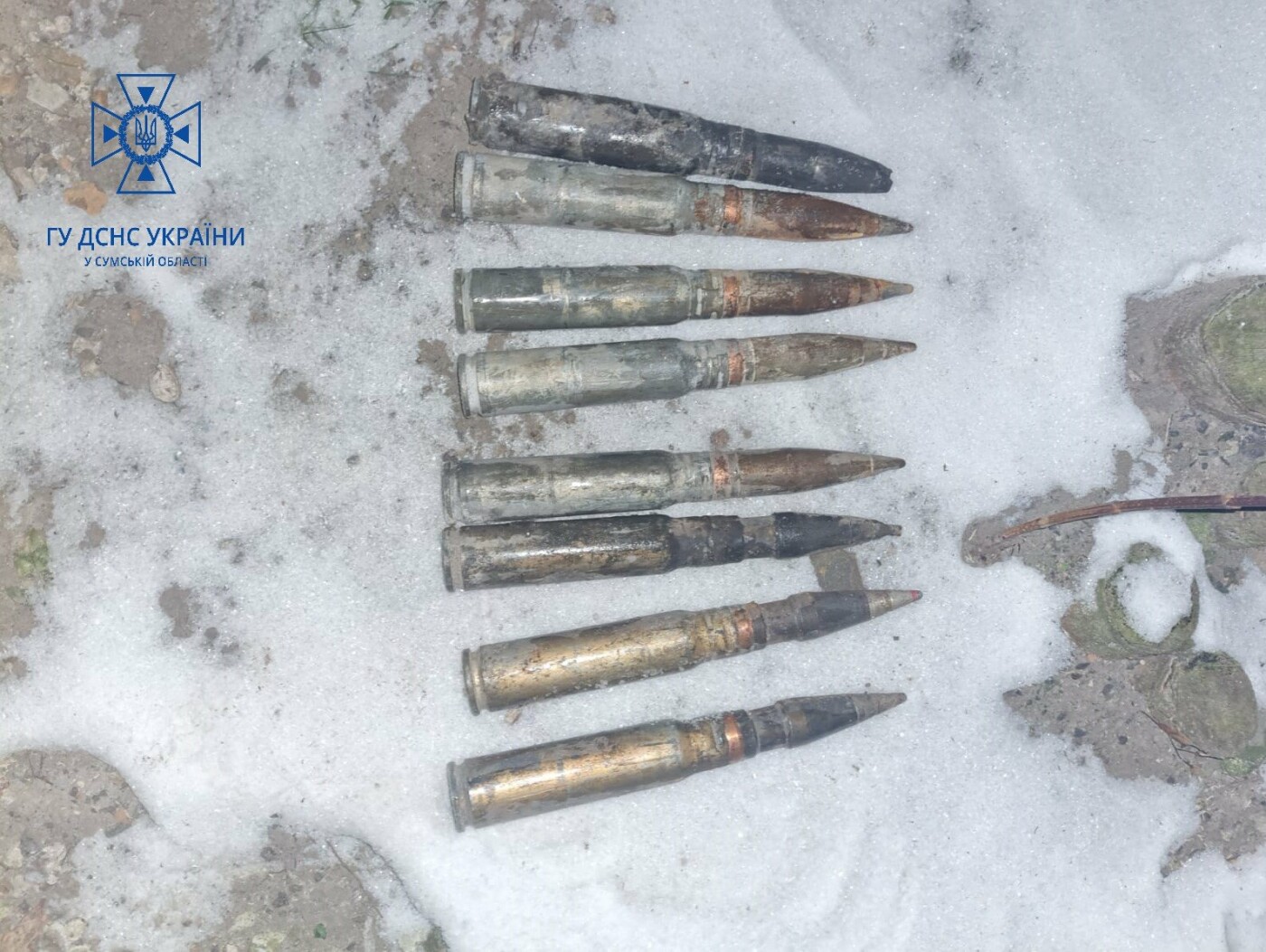  ������ ���� ���������� ������� ������� ����������������� �������� 