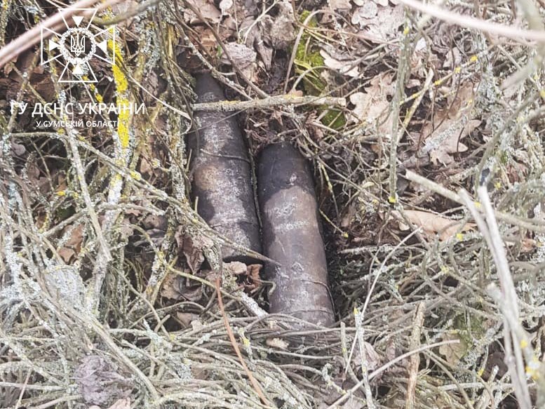  ������ ���� ������� �������� ������� ����������������� �������� 