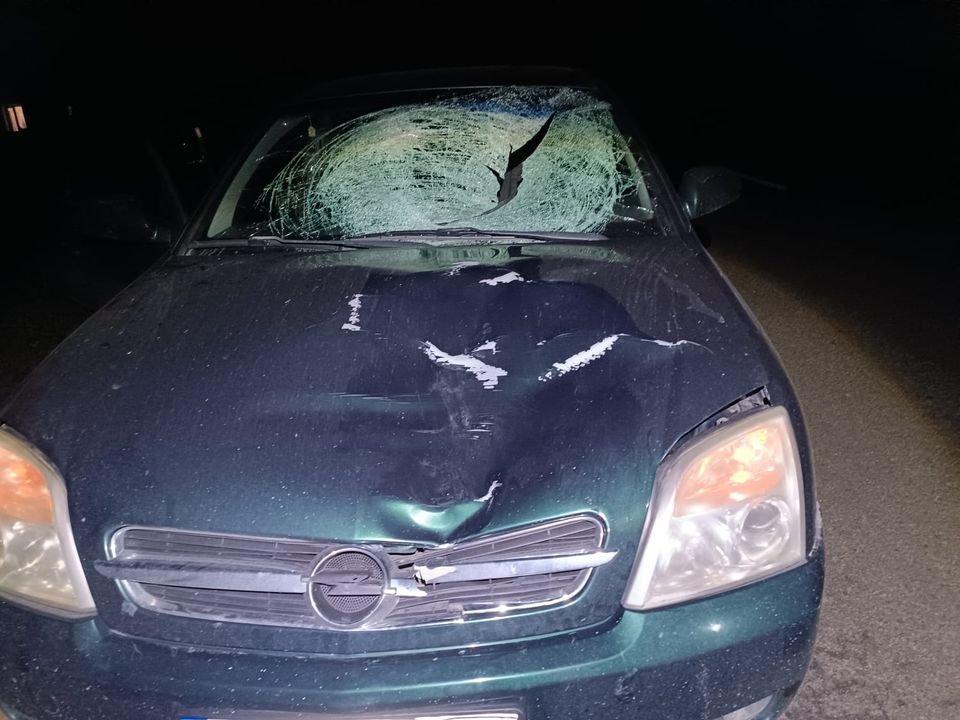  ����������� ������� �������� ����� ������� 