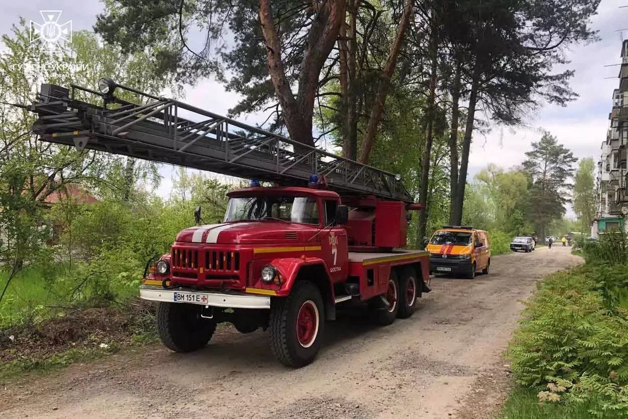  ������� ������������ ��������� ������ ����������������� ������� 