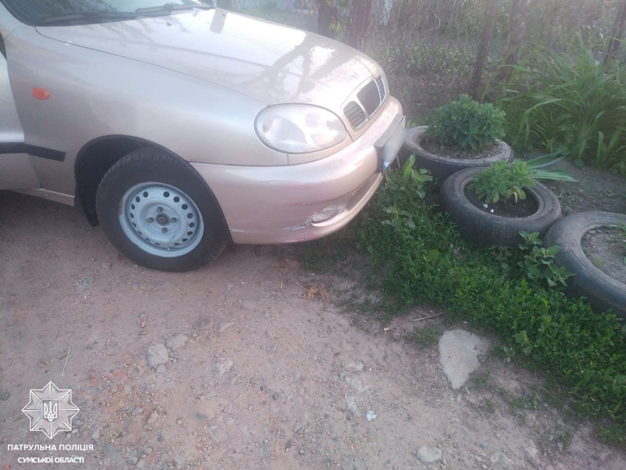  ����� ������ ���� ����������� ������ 