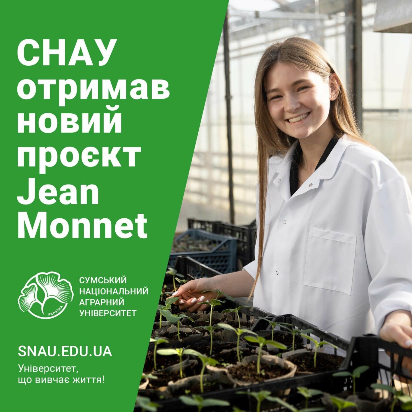  �������� ��� ������� ����� ����� jean monnet 