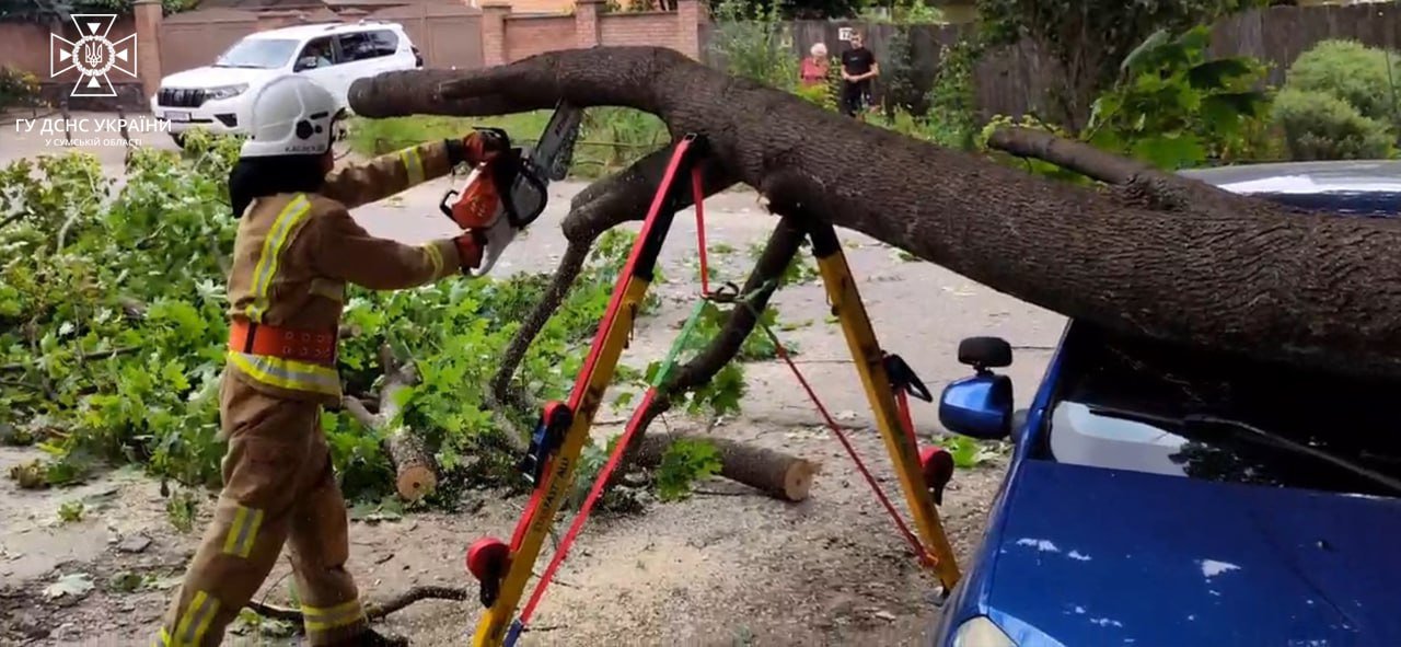  ����� ������� ������ ���� ��������� 