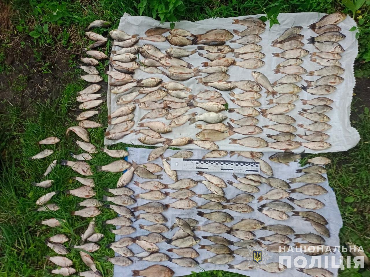  ������� ��������� ������ ������� ���� ������� ���������� ����� 