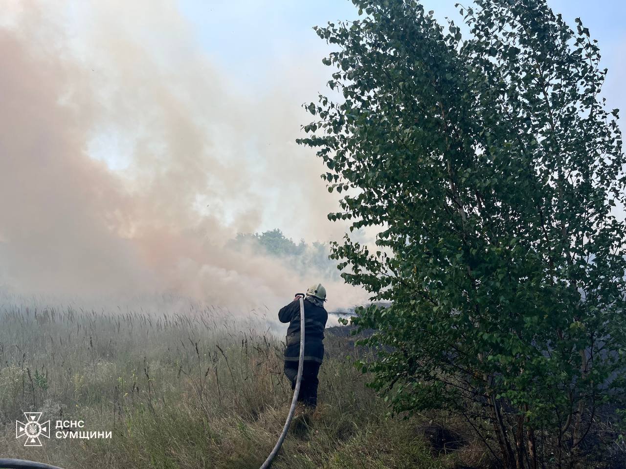  ����� ��������� ����������� ������� ���� ��������� ������������ 