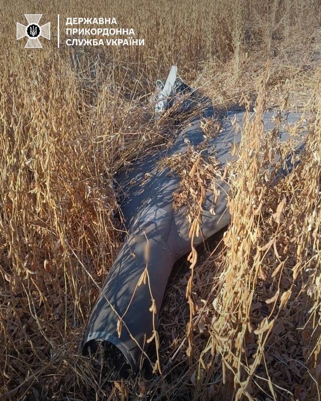 ����: 0542.ua