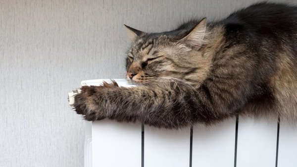  ���� �������� ��������� ��������������� 