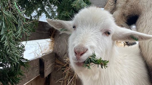 ����: 0542.ua