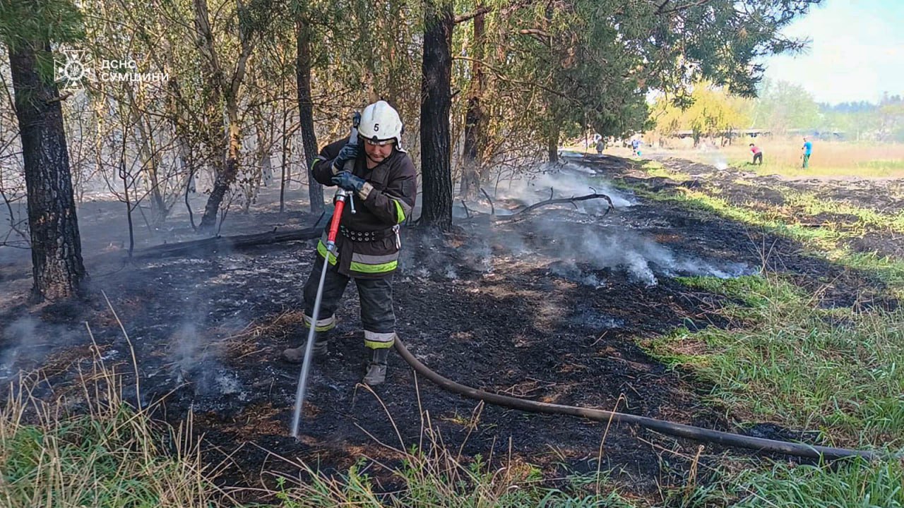  ������� ������� ������ ���� ���������� ���� ����������� ��������� 