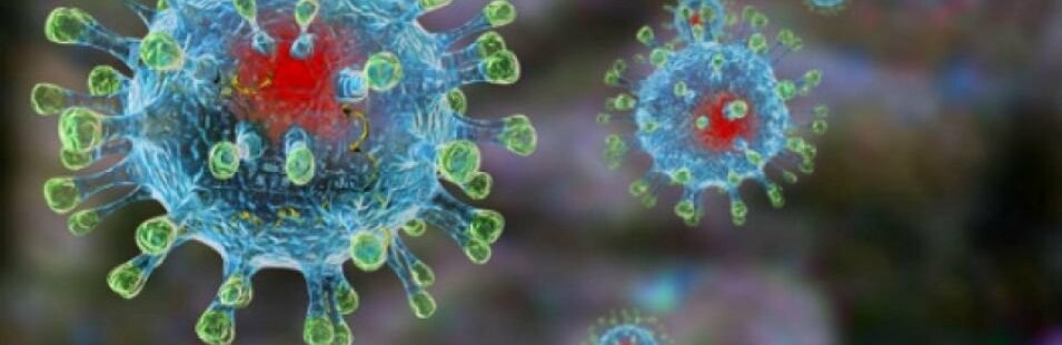  ���� ��������� �������� 