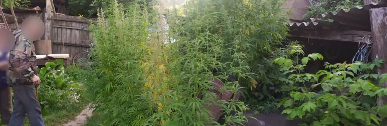  ������ ���������� ������� ����� ���������� �������� ���� ���� 