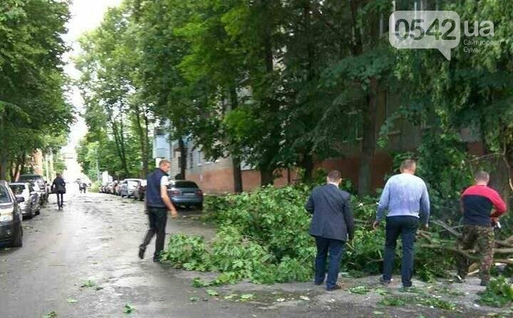 Макаренко Екатерина