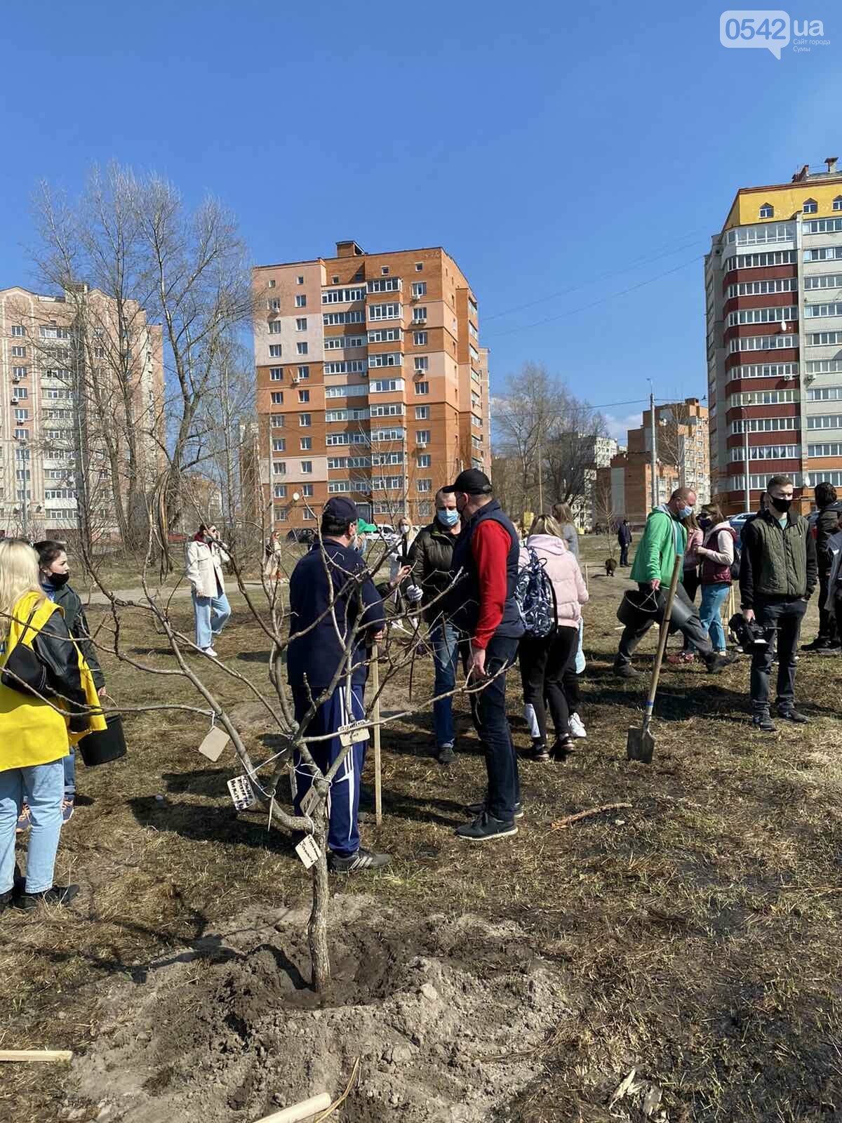 «Greening of the Planet»: у Сумах на березі озера Чеха висадили майже 450 дерев різних порід, фото-1