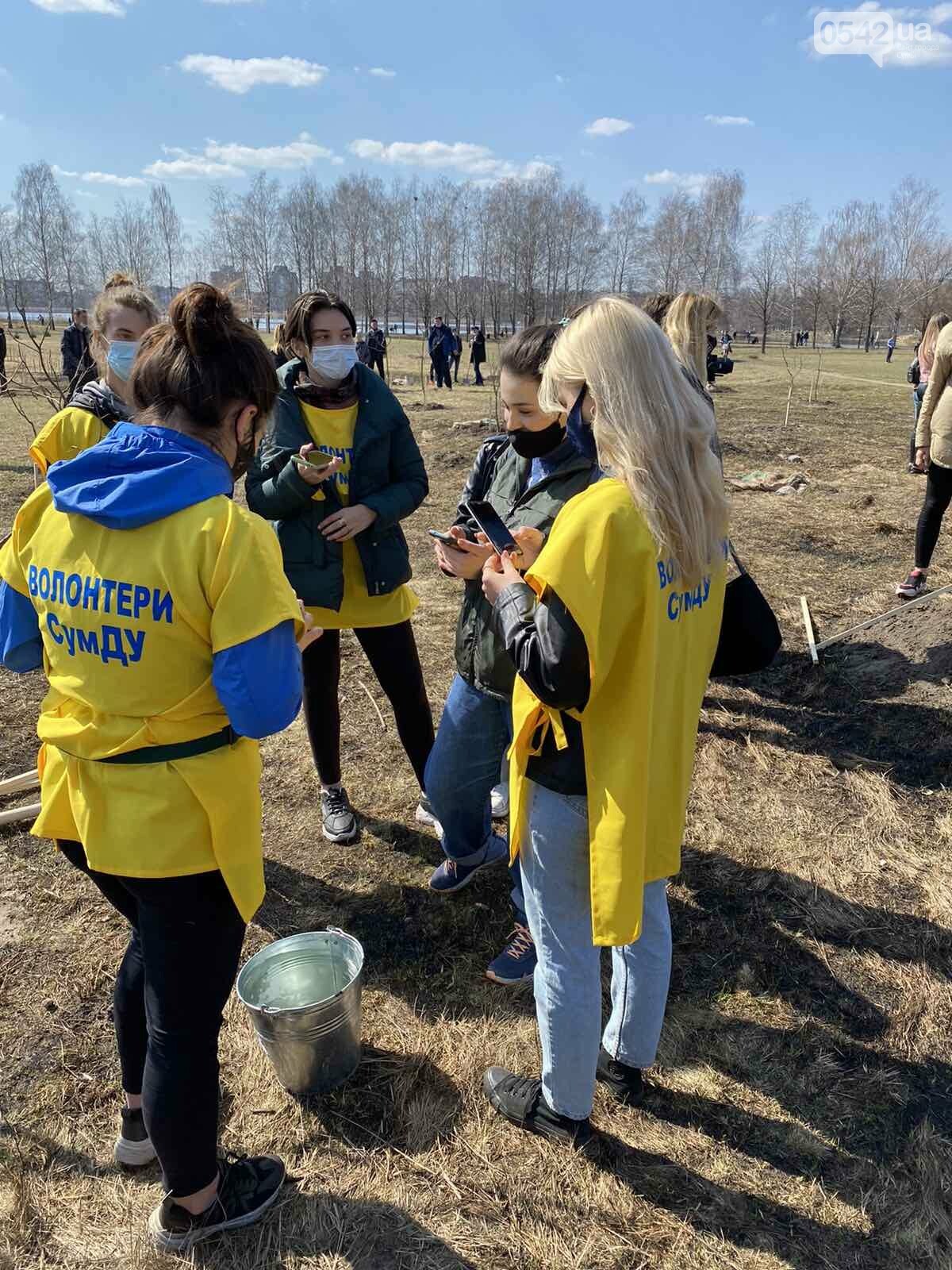 «Greening of the Planet»: у Сумах на березі озера Чеха висадили майже 450 дерев різних порід, фото-5