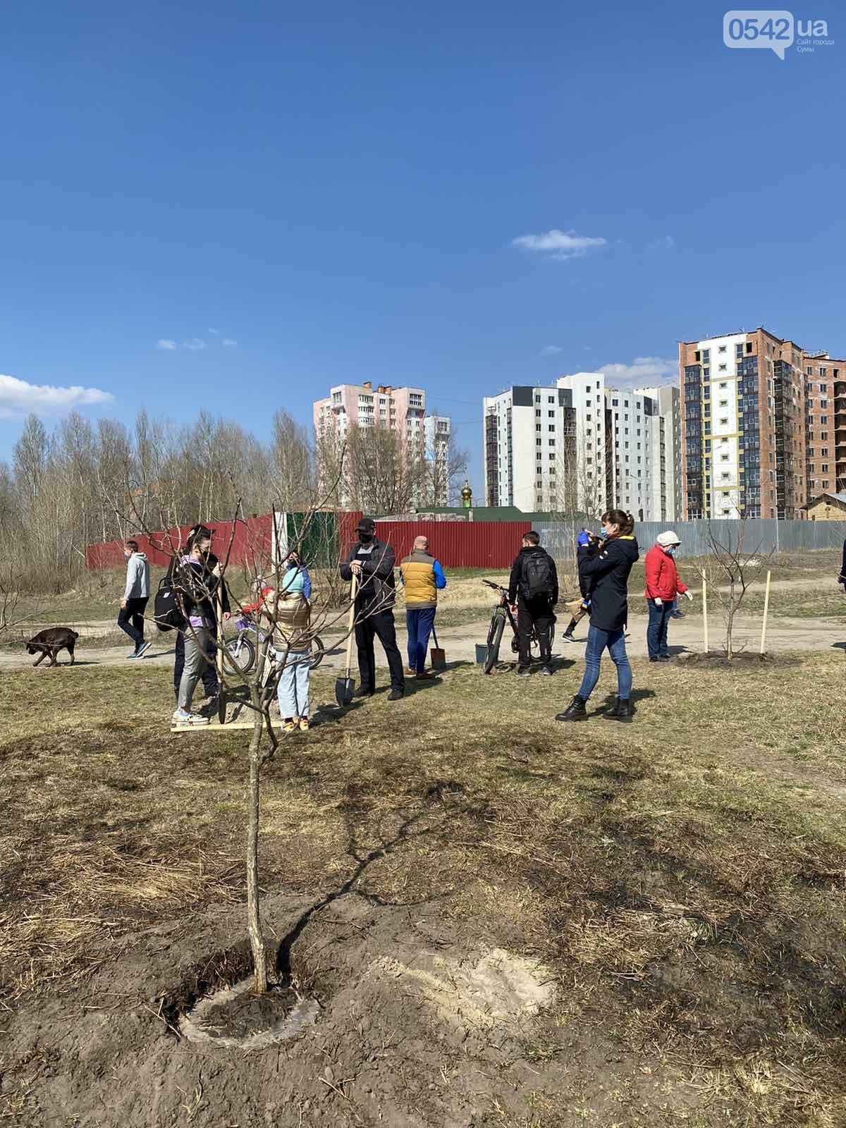 «Greening of the Planet»: у Сумах на березі озера Чеха висадили майже 450 дерев різних порід, фото-7